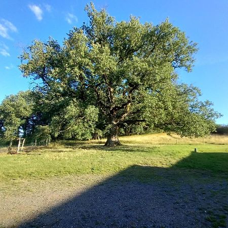 فندق La Tuilerie Pindray المظهر الخارجي الصورة