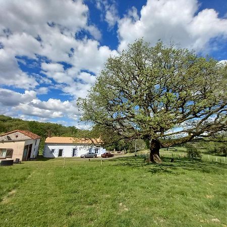 فندق La Tuilerie Pindray المظهر الخارجي الصورة