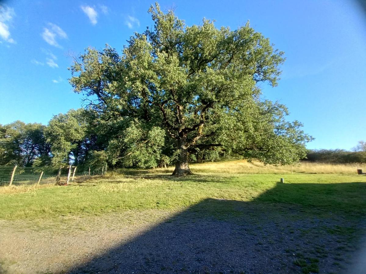 فندق La Tuilerie Pindray المظهر الخارجي الصورة